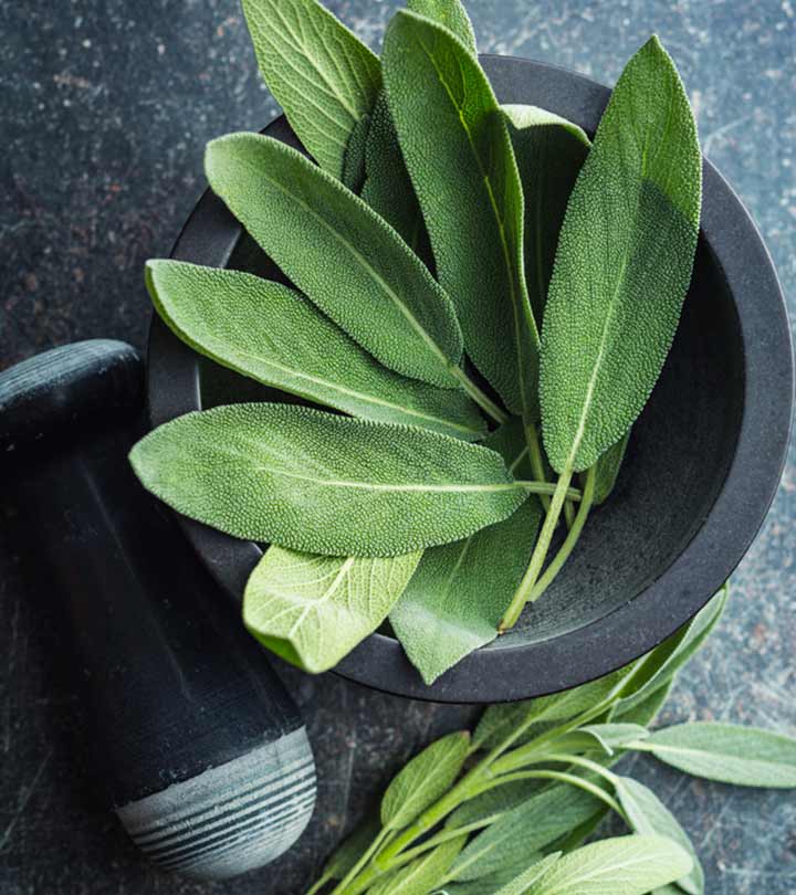 12 Health Benefits and Uses of Sage